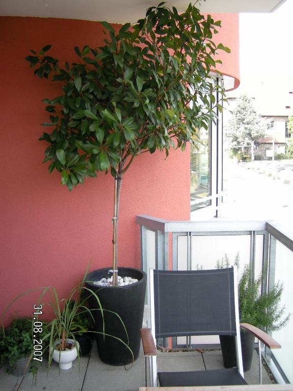 Appartement Am Salamanderpark Kornwestheim Dış mekan fotoğraf